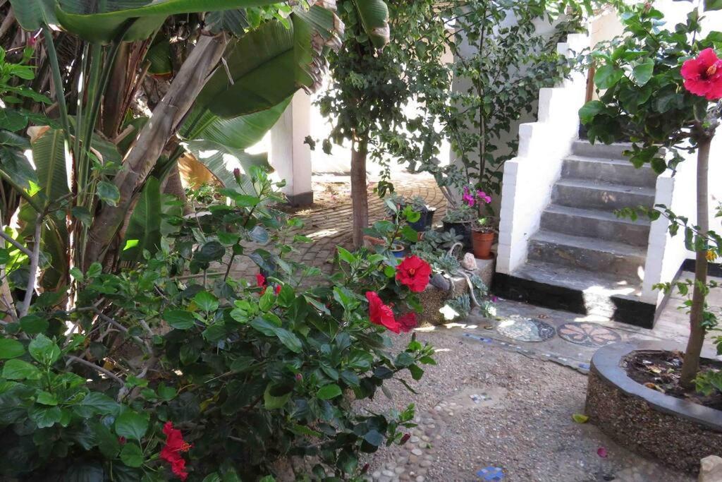 Alternative Space B & B Swakopmund Bagian luar foto